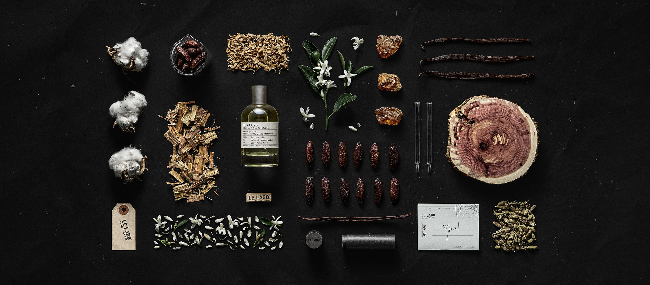 東加豆 25|tonka 25