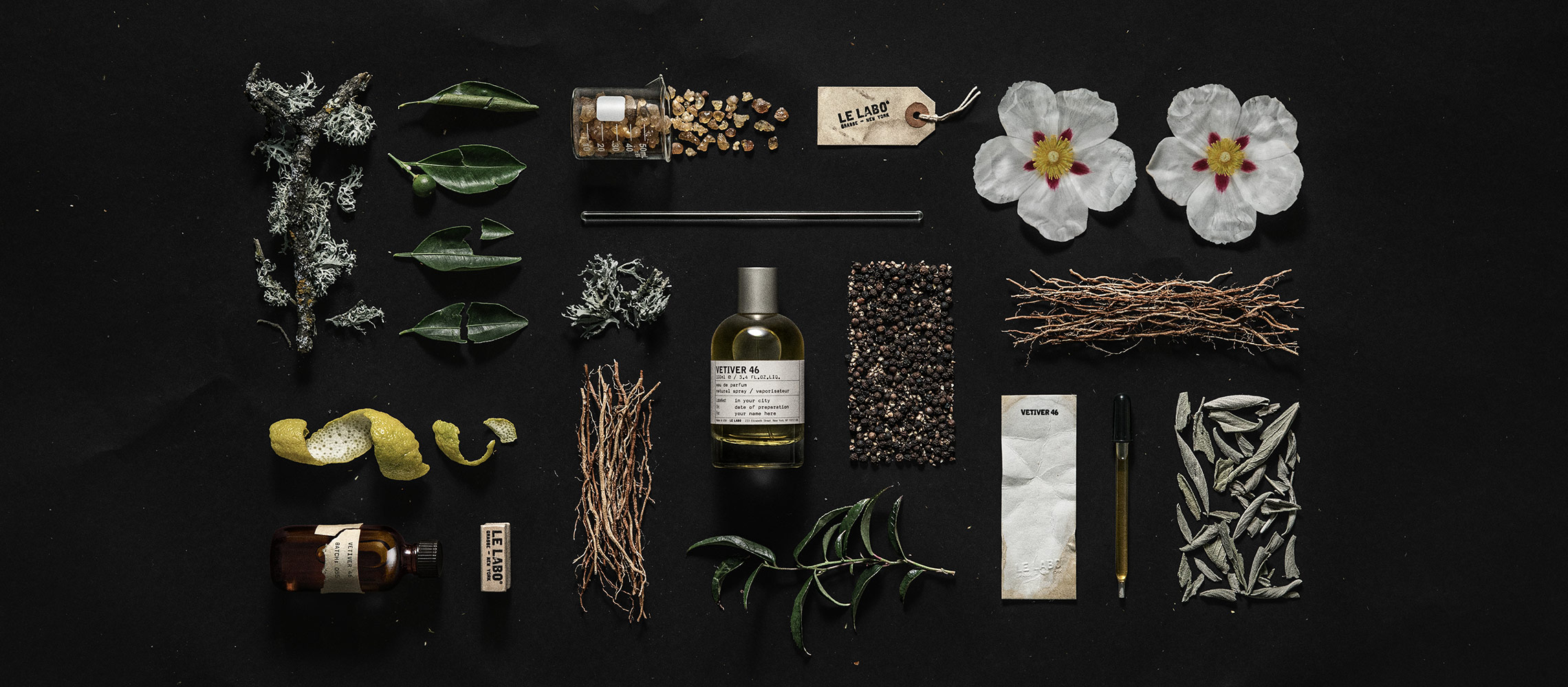 香根草 46|vetiver 46