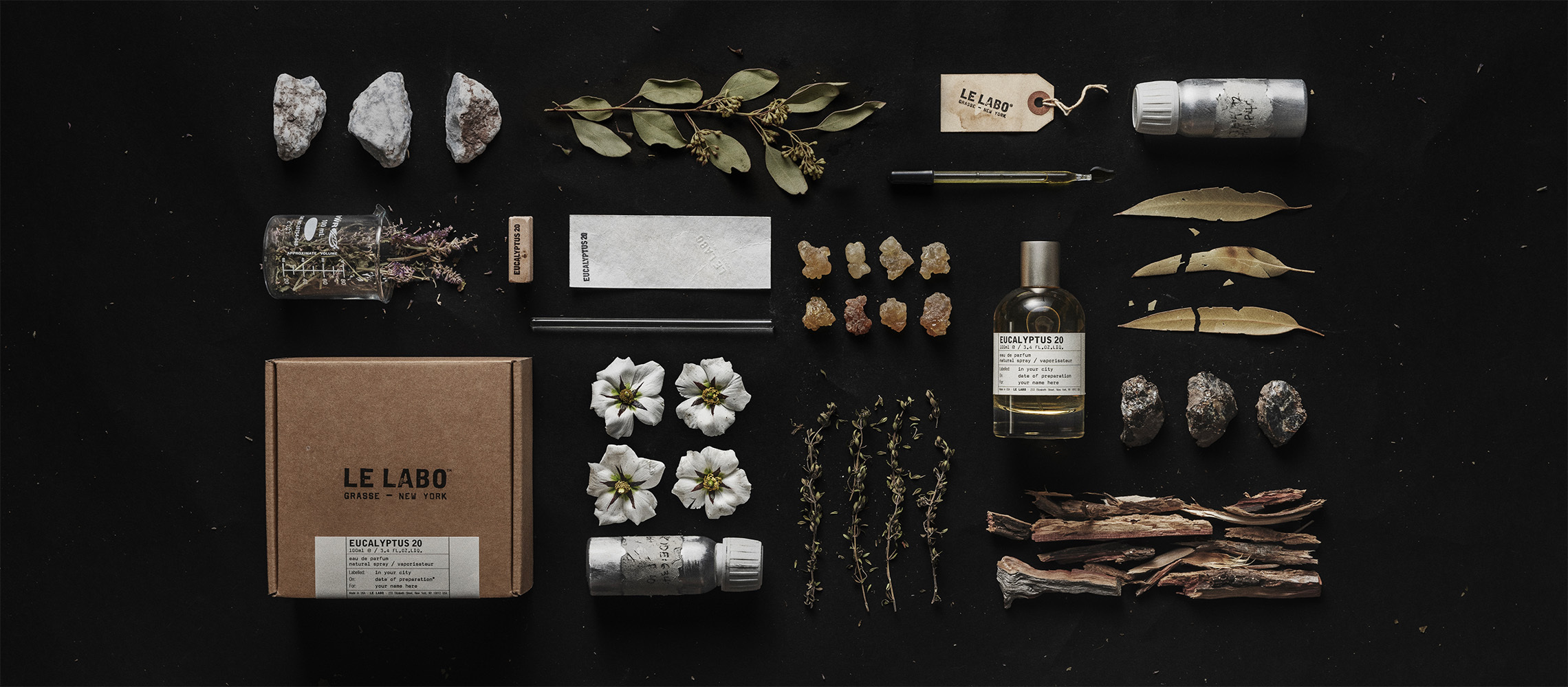 桉樹 20|eucalyptus 20